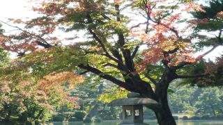 兼六園といえば徽軫灯籠です！