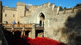 ポピーの花畑は圧巻です。