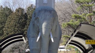 日本有数の動物園