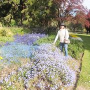 花いっぱいの植物園です。