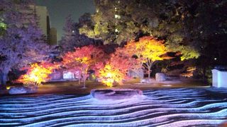 素晴らしい石庭でした