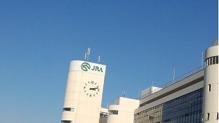 歴史と伝統のある競馬場