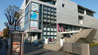 スポーツ観戦の際には