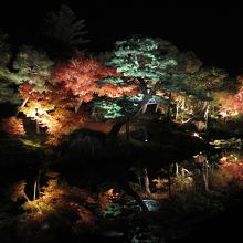 水面に映る紅葉の輝き