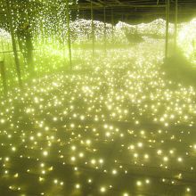 イルミネーション