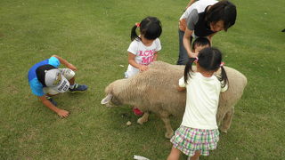 のどかなところ