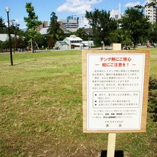 日差しがきつい区立、デング熱が心配の都立