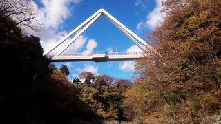 高津戸峡に行ったらはねたき橋まで歩いて行ってみて