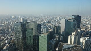 東京を展望