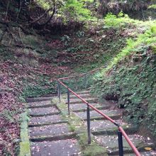 苔むす坂ですよ〜