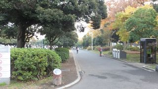 整備されている素敵な公園
