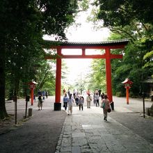 鳥居をくぐってから社殿の方から見た鳥居