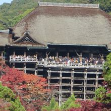 子安の塔から。緑がほとんど。
