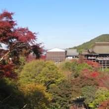 子安の塔からの全景。