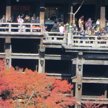 修学旅行生が3割ほどいるかも。