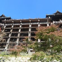 紅葉はまだまだ。