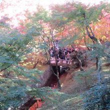 もう少しで紅葉はピークに。