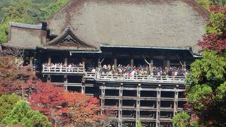 今年は少し紅葉が遅いよう。