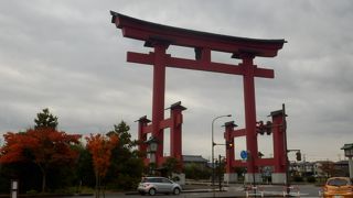 巨大な大鳥居を車でくぐる