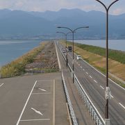 道路を境に水質も色も全く違う