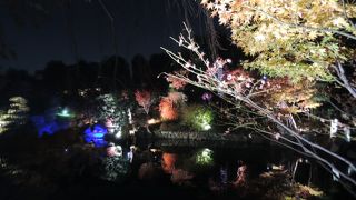 「赤鳥庵」や六角浮見堂のある目白庭園の秋のライトアップが午後5：30から始まり今月末まで楽しめます