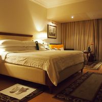 本当にきれいでした。