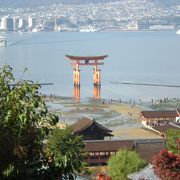 日本三景！秋の宮島の魅力♪