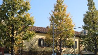 もうすぐイチョウ並木の黄葉