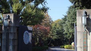 白金にある庭の広い研究所