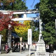 秩父神社の紅葉