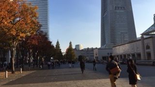横浜美術館の目の前です