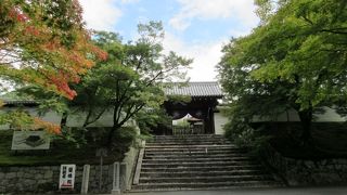 庭園美が見事です