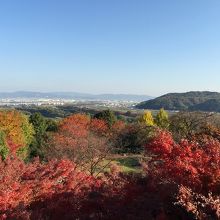 テラス席からの眺望は最高！
