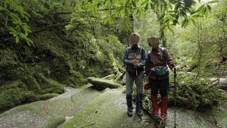 自然の厳しさと優しさを感じました。