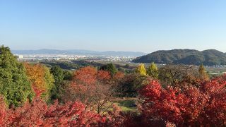 紅葉が綺麗でした ♪