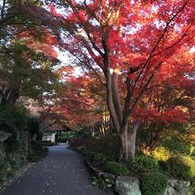 庭園の景色も綺麗でした。