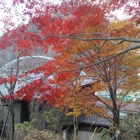 紅葉にはちょっと遅めですが、まだまだ紅い