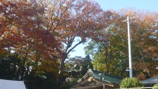 宮司がヘイトスピーチをする神社