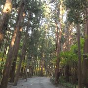 弥彦神社の脇の道です。