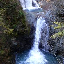 写真にはうまく写りませんでしたがぜひ生で見に行って下さいねっ