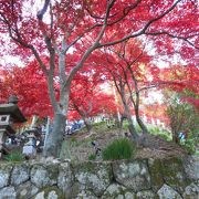 紅葉の名所の関東三大不動のひとつ大山寺で絶景を味わう