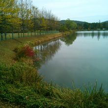 １度は訪れたかった矢ケ崎公園♪