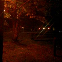 夜の矢ケ崎公園。。。