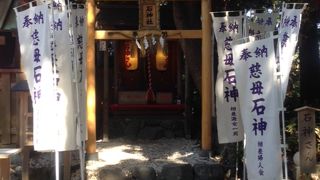 行きたかった！！！