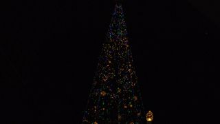 クリスマスツリー