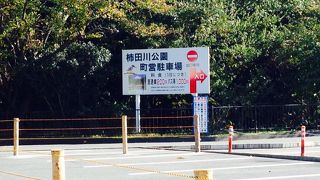 信じられない位透明度が高い