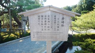 兼六園で最も枝ぶりが見事な松