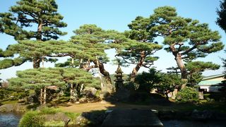 七つの自然の石ををそのまま配置