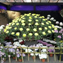 公園の入り口前のアレンジメント