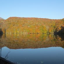 風は吹いていないんですけれども、紅葉には少し早かったようです